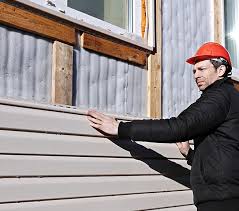 Best Siding for New Construction  in Louisa, KY